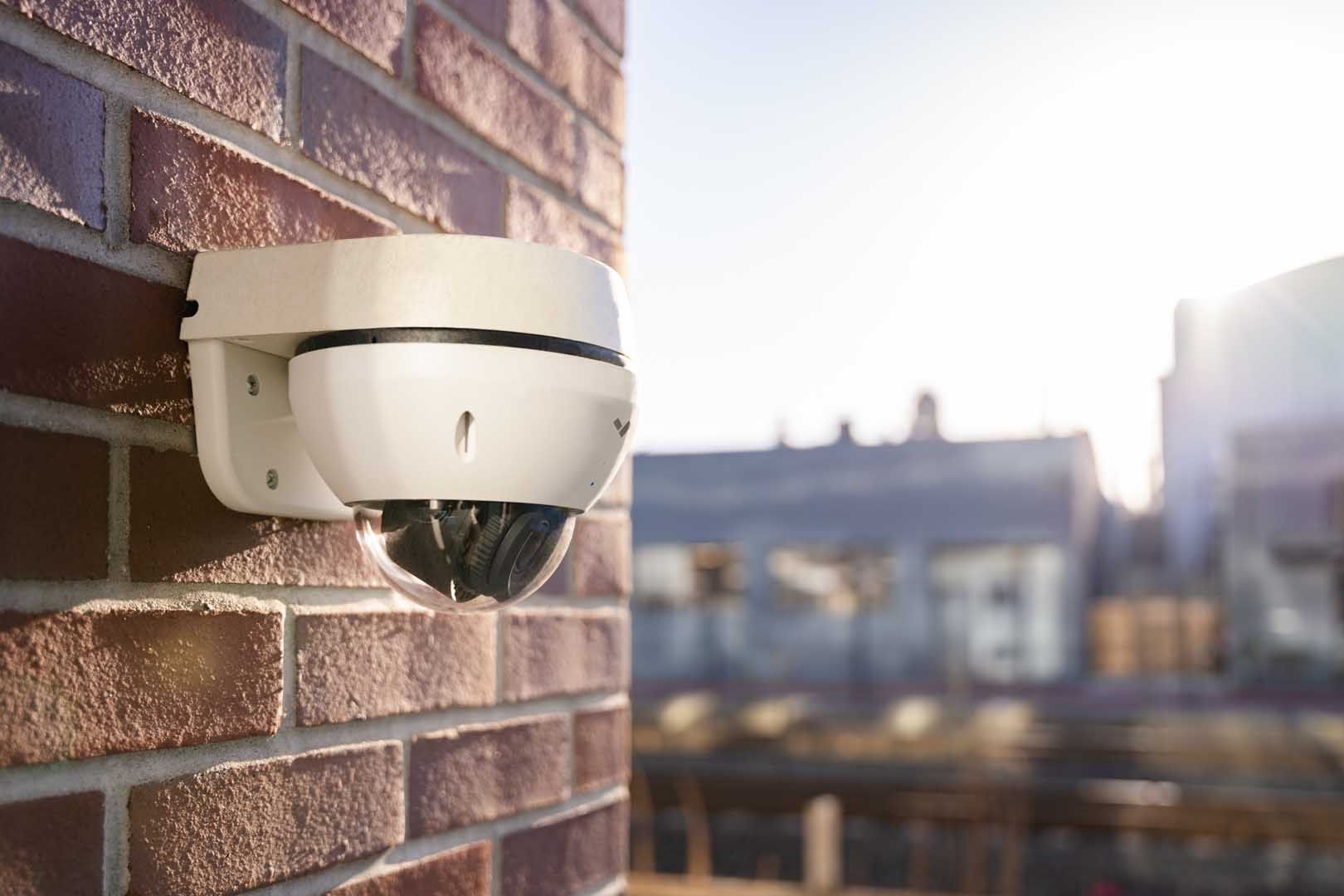 Professional Security Services