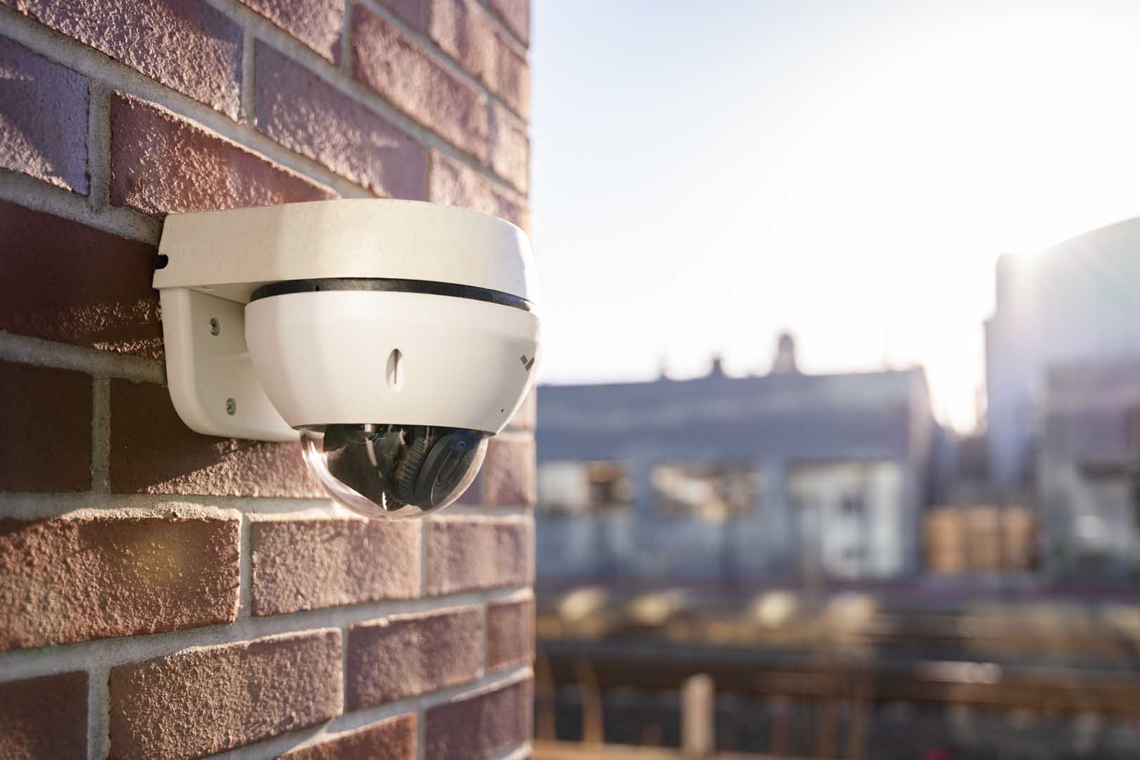 Professional Security Services